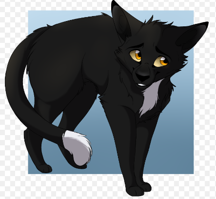 WHOS THAT POKEMON!? (ft warrior cats) 